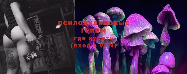 винт Алзамай