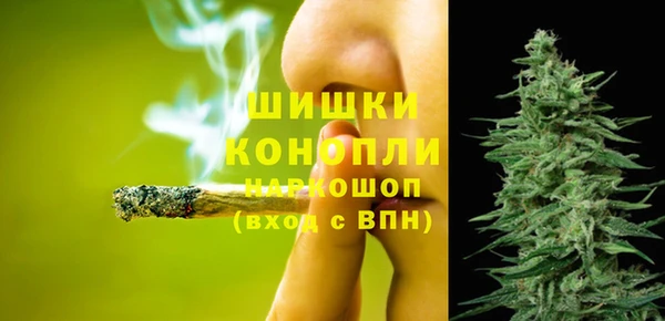 ГАЛЛЮЦИНОГЕННЫЕ ГРИБЫ Алексеевка