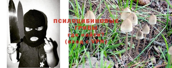 винт Алзамай