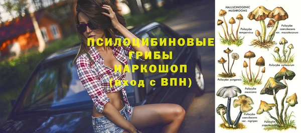 винт Алзамай
