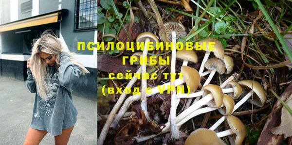 ГАЛЛЮЦИНОГЕННЫЕ ГРИБЫ Алексеевка