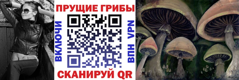 купить   Сарапул  Псилоцибиновые грибы MAGIC MUSHROOMS 